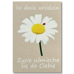 Kartka okolicznościowa Urodziny - Trend