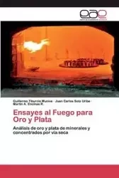 Ensayes al Fuego para Oro y Plata - Guillermo Tiburcio Munive