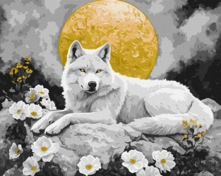 Malowanie po numerach - Pod blaskiem księżyca - Ideyka