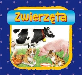 Zwierzęta - praca zbiorowa