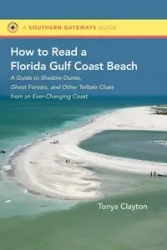 How to Read a Florida Gulf Coast Beach - Clayton Tonya