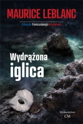 Wydrążona iglica - Wydrążona iglica