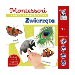 Montessori Karty sensoryczne Zwierzęta - KATARZYNA DOŁHUN