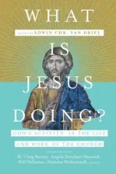 What Is Jesus Doing? - van Edwin Chr. Driel