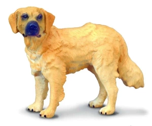 Pies golden retriever - Collecta