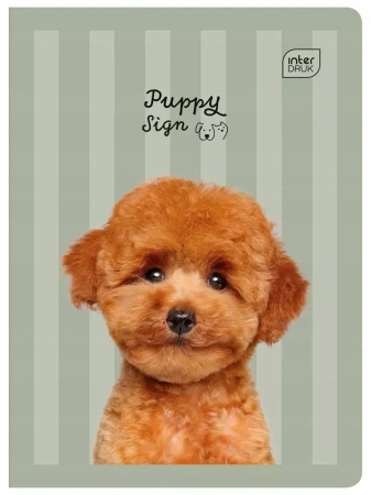 Zeszyt w trzy linie A5 Interdruk 32 kartek