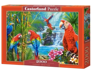 Puzzle 2000 Parrot Meeting CASTOR - Castorland