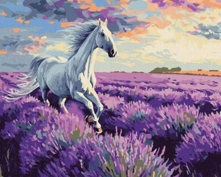 Malowanie po numerach - W lawendowych polach 40x50 - Ideyka