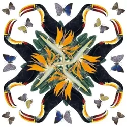 Karnet kwadrat z kopertą White-throated Toucan - Museums & Galleries