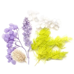 Kwiaty suszone dekoracyjne liliowy biały - Dalprint