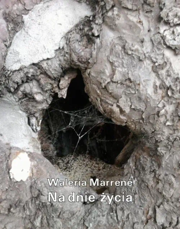 eBook Na dnie życia - Waleria Marrené-Morzkowska epub mobi