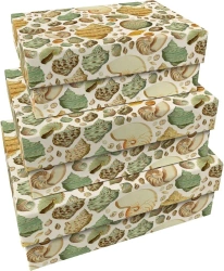 Pudełka ozdobne Muszle 3szt - Skona Ting