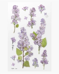 Naklejki ozdobne kwiaty - Bez - Appree