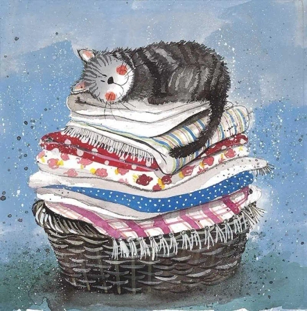 Karnet AC329 Kot na koszu z praniem - Alex Clark