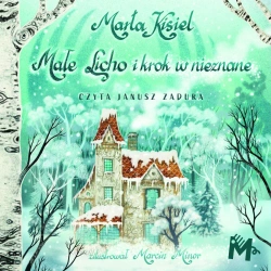 audiobook Małe Licho i krok w nieznane - Marta Kisiel