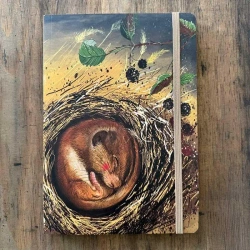 Notatnik z gumką A5 LCN37 Koszatka - Alex Clark