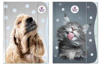 Teczka z gumką A4 The Sweet Pets - Beniamin