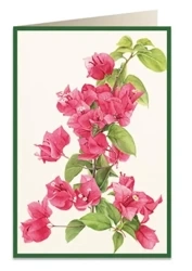 Karnet B6 + koperta 5933 Bugenwilla - Tassotti