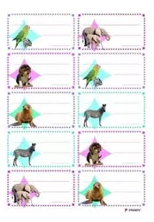 Naklejki na zeszyty 06 - Zwierzątka 10szt - Fandy