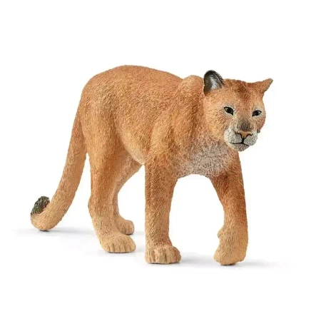 Wild Life. SLH14853. Puma