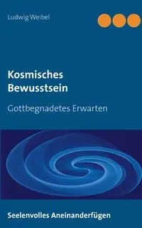 Kosmisches Bewusstsein - Weibel Ludwig