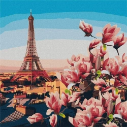 Malowanie po numerach - Magnolie paryskie 50x50cm - Ideyka