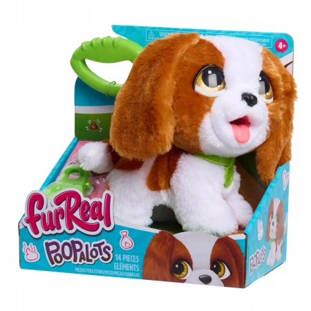 JUP FUR KING CHARLES SPANIEL