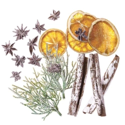 Naturalne elementy 19szt - Dalprint