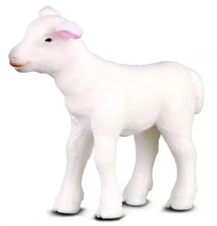 Jagnię stojące - Collecta