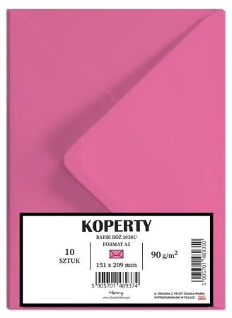 Koperty A5 Barbii róż 10szt - Henry