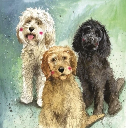 Karnet AC745 Psy Cockapoo - Alex Clark