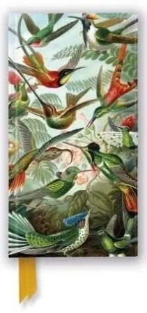 Notatnik linia TW Kolibry Ernst Haeckel - Praca zbiorowa
