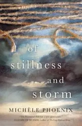 Of Stillness and Storm - Michele Phoenix