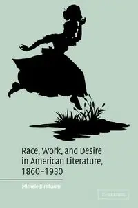 Race, Work, and Desire in American Literature 1860-1930 - Michele Birnbaum