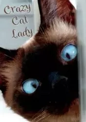 Crazy Cat Lady Notebook - Vivienne Ainslie
