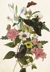 Karnet ST443 B6 + koperta Bukiet i motyle - Skona Ting