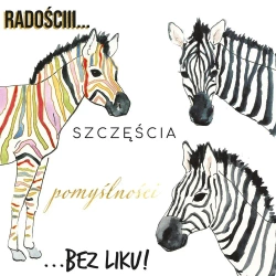 Karnet KW Zebry - Henry