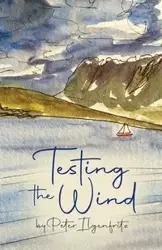 Testing the Wind - Peter Ilgenfritz