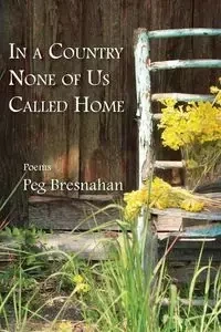 In a Country None of Us Called Home - Peg Bresnahan