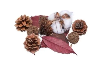 Susz dekoracyjny 30g - Brewis