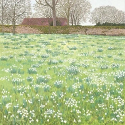 Karnet z kopertą Śnieżyczki - Susan Entwistle