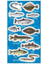 Naklejki Ryby bałtyckie - Ranok-Creative