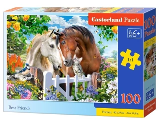 Puzzle 100 Best Friends CASTOR - Castorland