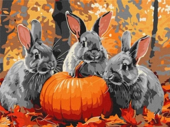 Malowanie po numerach - Przygody z królikiem 30x40 - Ideyka