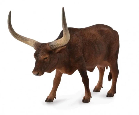 Krowa ankole-watusi - COLLECTA