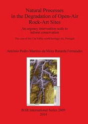 Natural Processes in the Degradation of Open-Air Rock-Art Sites - Martins da Mota Batarda Fernandes Antó
