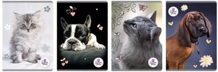 Zeszyt A5/80K kratka The Sweet Pets (5szt) - Beniamin