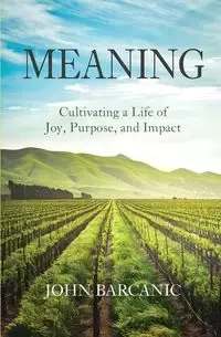 Meaning - John Barcanic