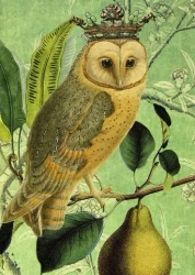 Karnet B6 z kopertą Sowa i gruszka - Madame Treacle