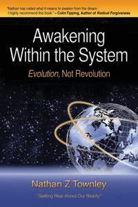 Awakening Within the System - Nathan Townley Z